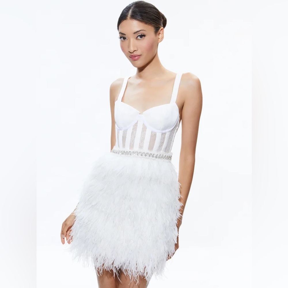 W/Tags Alice + Olivia Xia Sheer Bustier Embellished Ostrich Feather Mini Dress 2